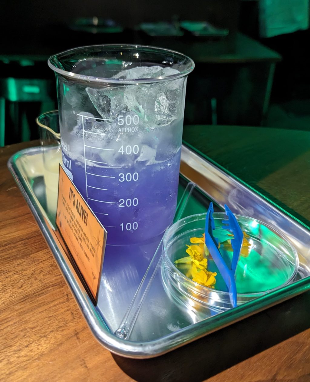 Left-Brain Activities: Hobbies That Flex Your Mental&nbsp;Muscles